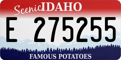 ID license plate E275255