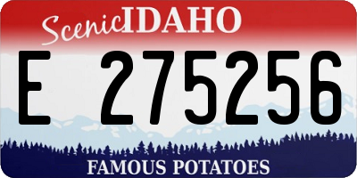 ID license plate E275256