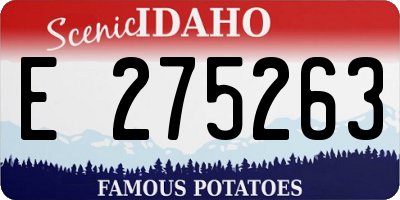 ID license plate E275263