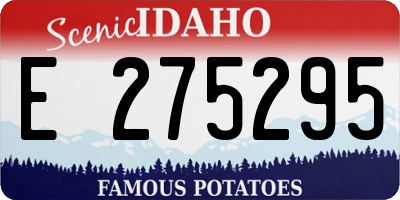 ID license plate E275295