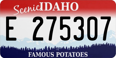 ID license plate E275307