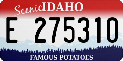 ID license plate E275310