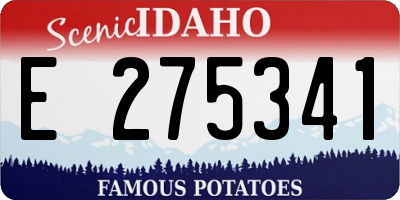 ID license plate E275341