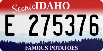 ID license plate E275376