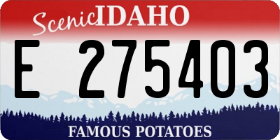 ID license plate E275403