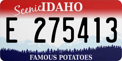 ID license plate E275413