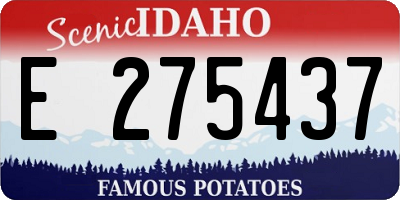 ID license plate E275437