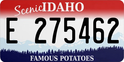 ID license plate E275462