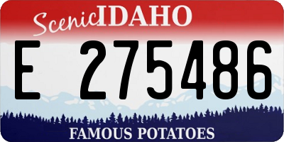 ID license plate E275486