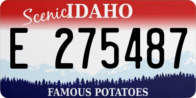 ID license plate E275487