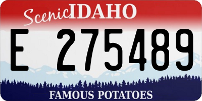 ID license plate E275489