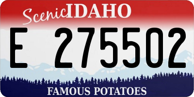 ID license plate E275502