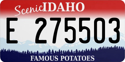 ID license plate E275503