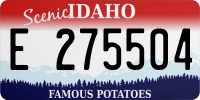 ID license plate E275504
