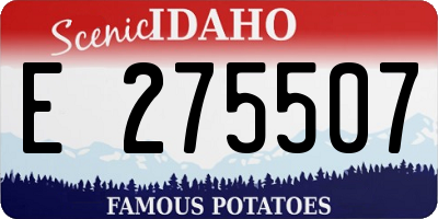 ID license plate E275507