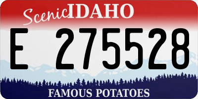 ID license plate E275528