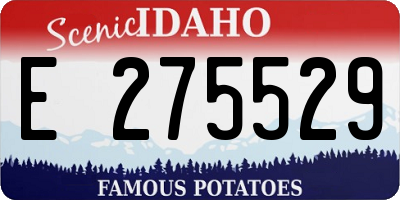 ID license plate E275529