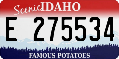 ID license plate E275534