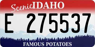 ID license plate E275537