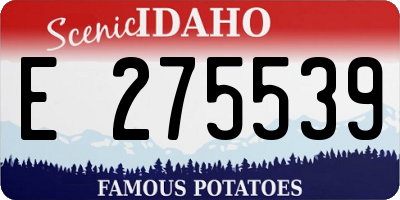 ID license plate E275539