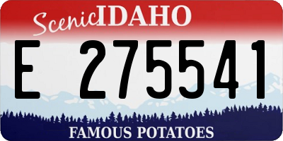 ID license plate E275541