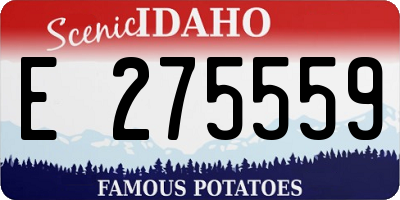 ID license plate E275559