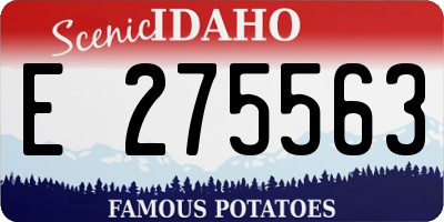 ID license plate E275563