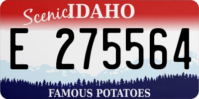 ID license plate E275564