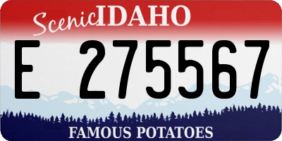 ID license plate E275567