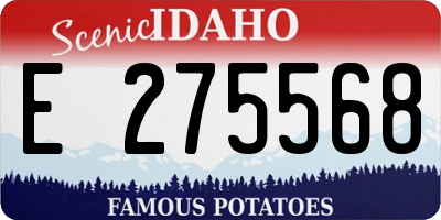 ID license plate E275568