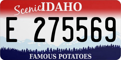 ID license plate E275569