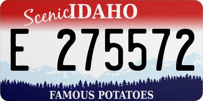 ID license plate E275572