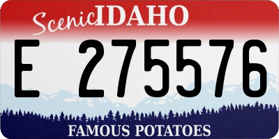 ID license plate E275576