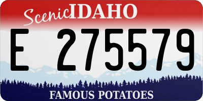 ID license plate E275579