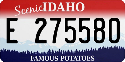 ID license plate E275580