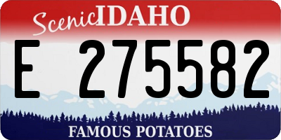 ID license plate E275582