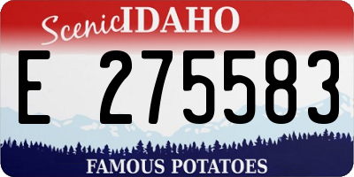 ID license plate E275583