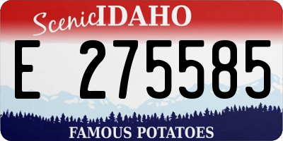 ID license plate E275585