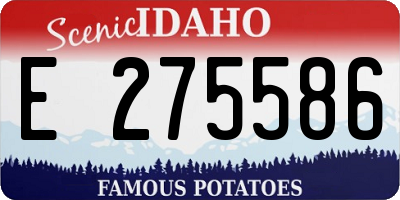 ID license plate E275586