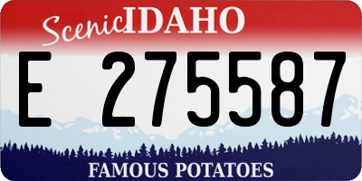 ID license plate E275587