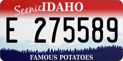 ID license plate E275589