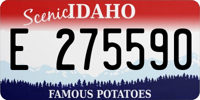ID license plate E275590