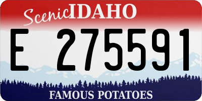 ID license plate E275591