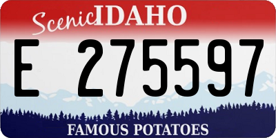 ID license plate E275597