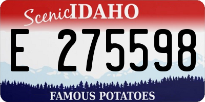 ID license plate E275598