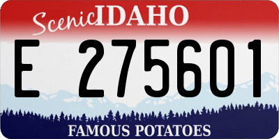 ID license plate E275601