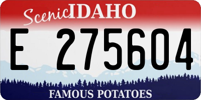 ID license plate E275604