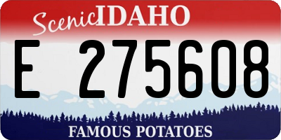 ID license plate E275608