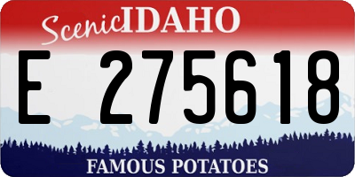 ID license plate E275618