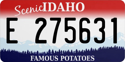 ID license plate E275631